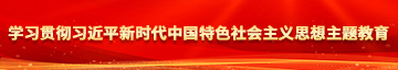 少萝自扣学习贯彻习近平新时代中国特色社会主义思想主题教育